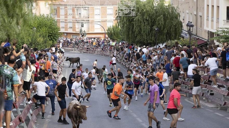 Encierro complicado el que protagonizan las reses bravas de Miura en las Fiestas de Moratalla