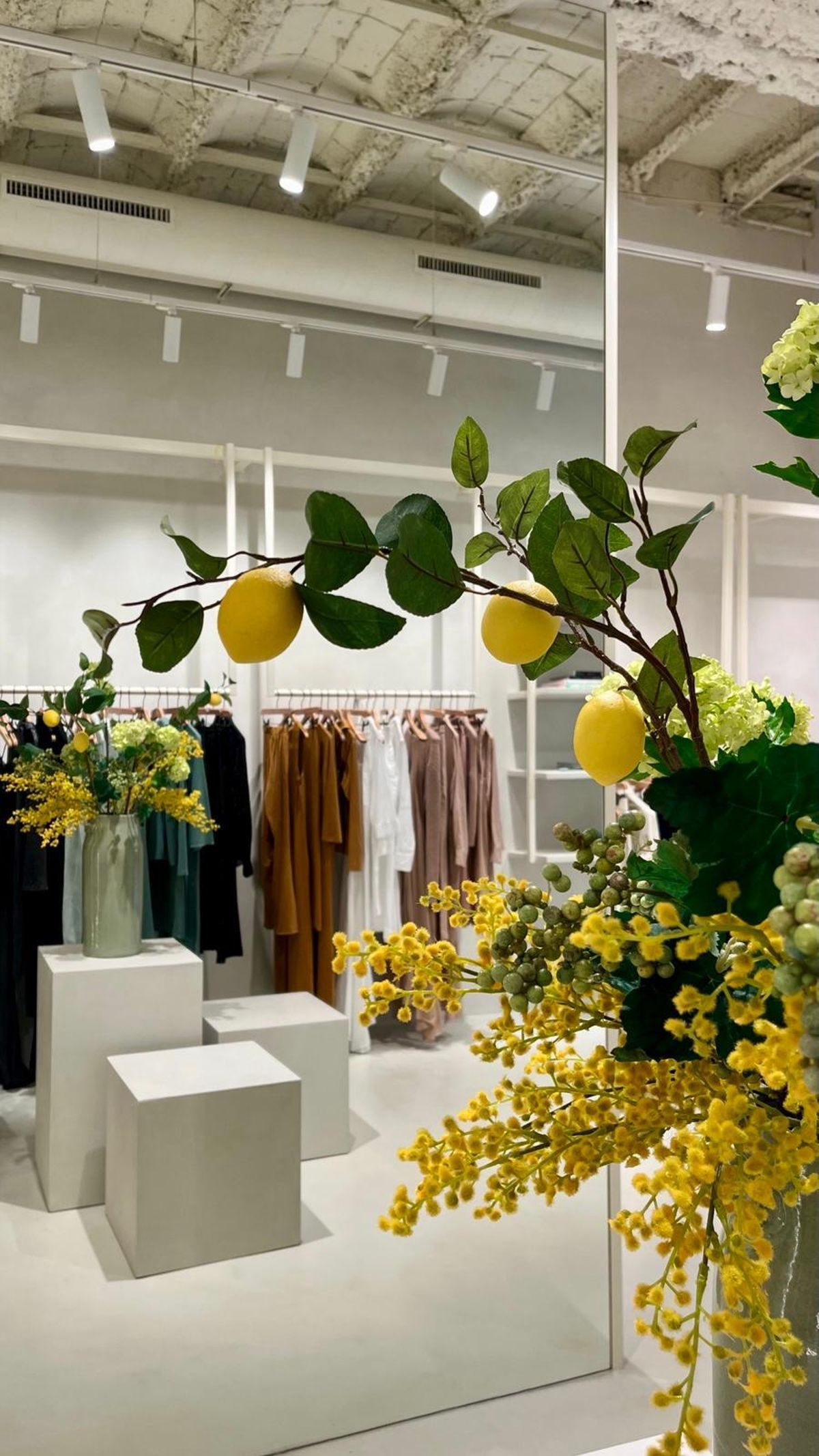 Los limones están muy presentes en la decoración mediterránea y minimalista de la tienda.