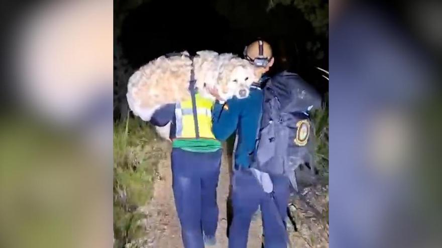 La Guardia Civil rescata a un senderista y a su perro en Alicante