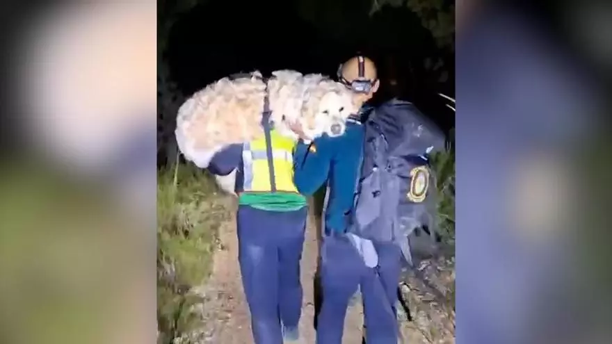 La Guardia Civil rescata a un senderista y a su perro en Alicante