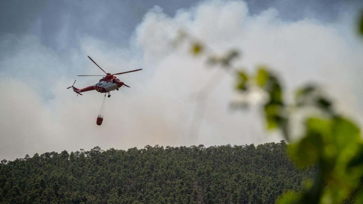 Incendio forestal en Arico