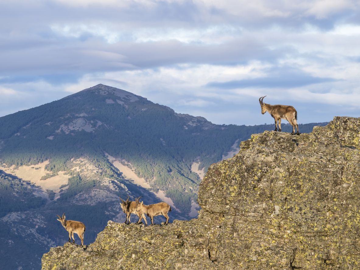 Sierra de Francia salmantina