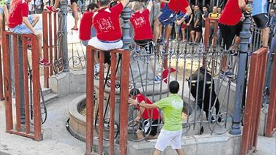 Ganaderías de la Comunitat miden sus fuerzas en Borriol