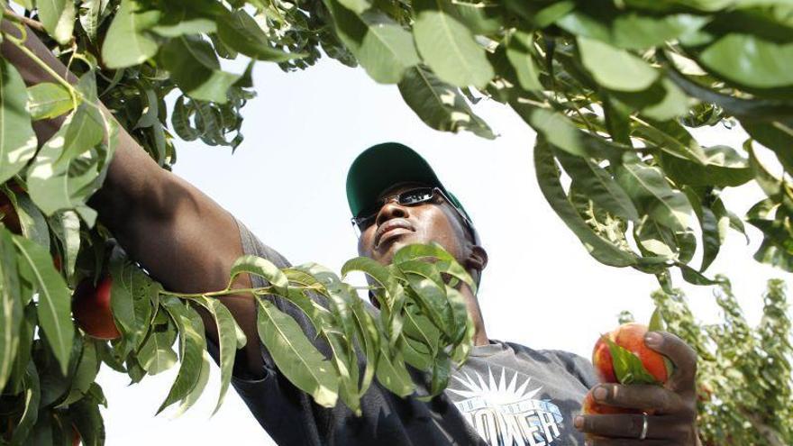 Alcaldes del Baix Cinca muestran su preocupación por la campaña frutícola 2017