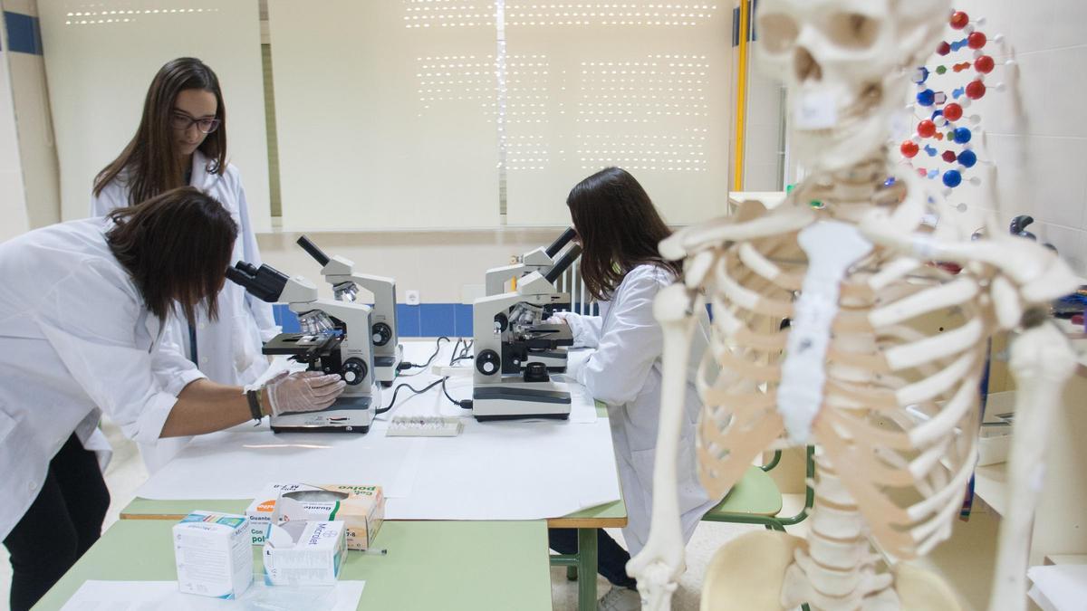 Práctica de Biología en un instituto de la provincia