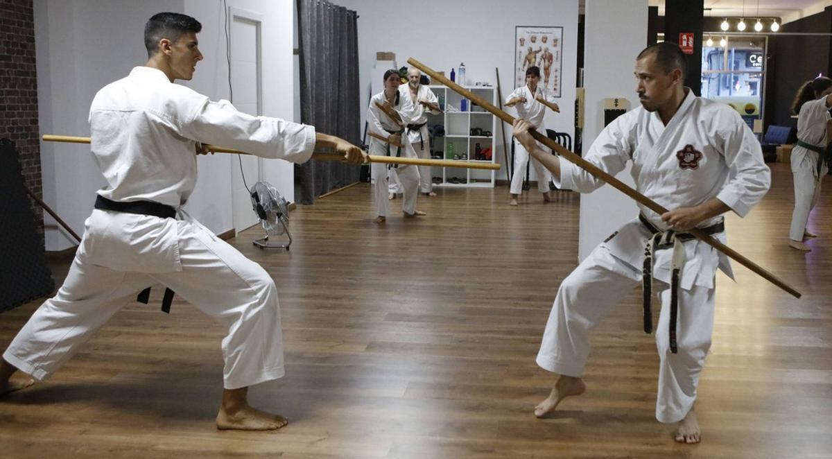 kampfsport-auf-mallorca-wo-eine-ehrw-rdige-disziplin-aus-japan