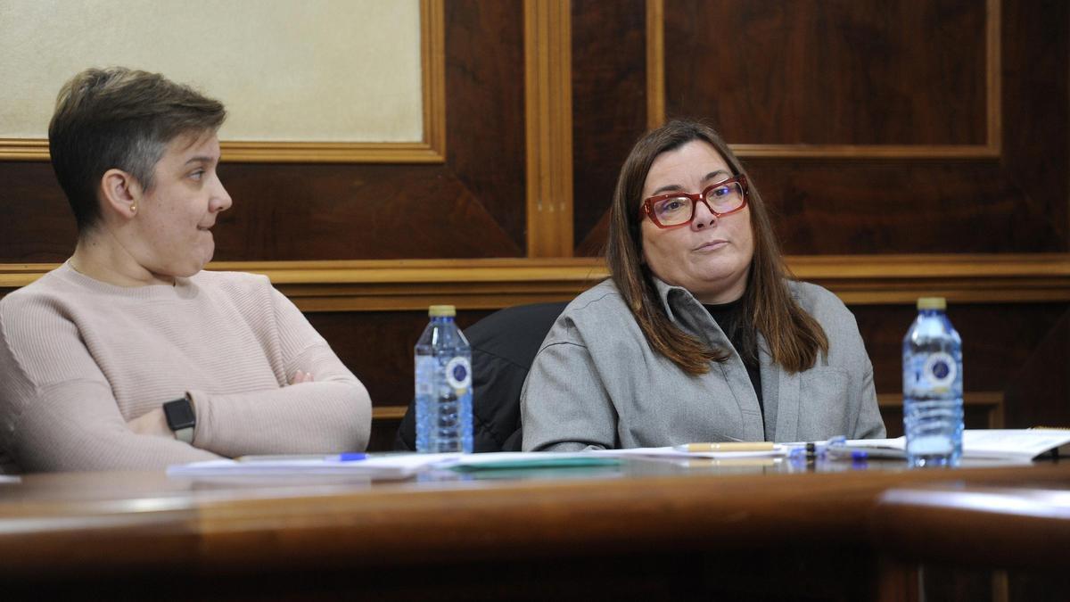 Cati Somoza, en un pleno.