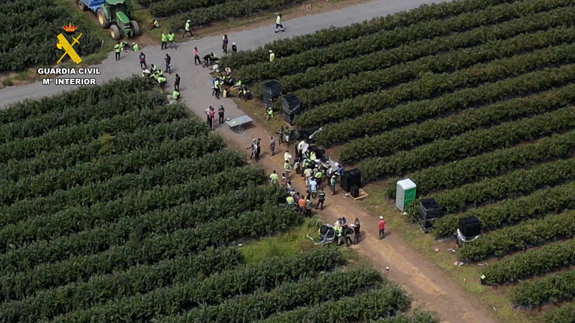 Operativo que destapó a 82 trabajadores irregulares en una finca agrícola de Lugo.