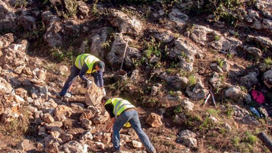 La Conselleria de Medio Ambiente ya está trabajando en el área dañada.