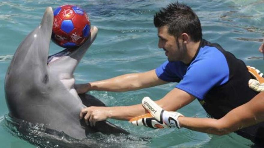 Los jugadores del Barça se dan un baño entre delfines