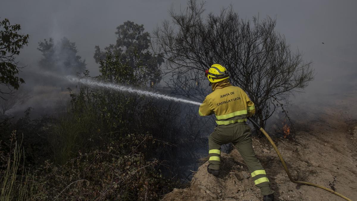 Un trabajador forestal de la Junta.