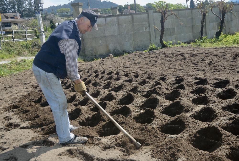 Así se vive en el campo en medio del coronavirus. // R. Vázquez