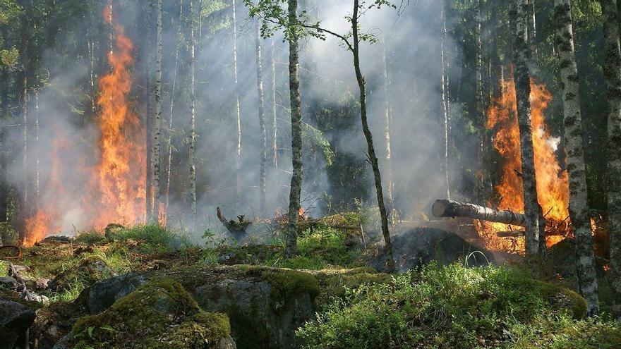 Sorprenden a un hombre mientras prendía fuego al monte