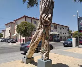 El ficus de la Alameda que terminó en Churriana