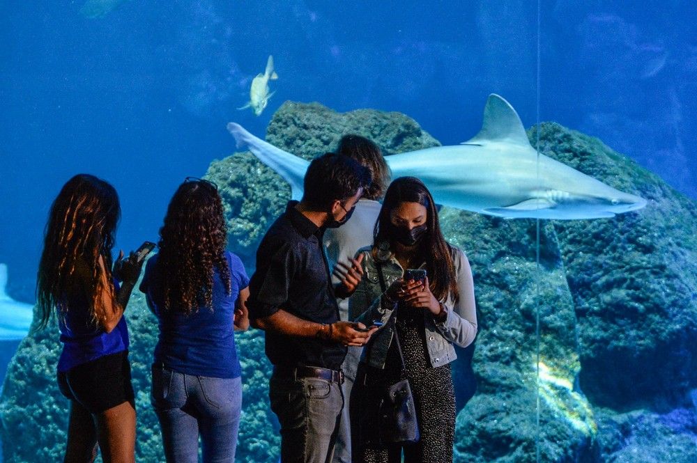 Los turistas visitan el acuario Poema del Mar