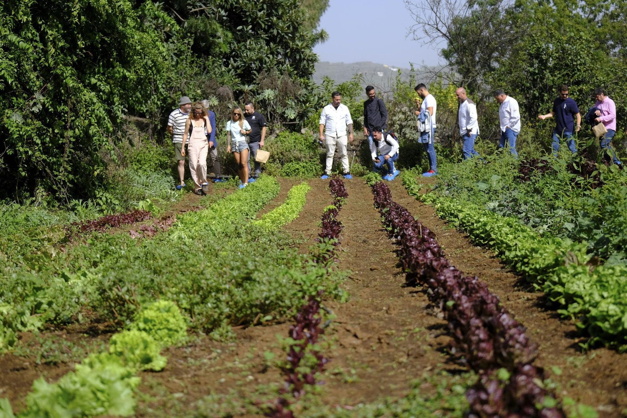 Visita a Ecohuerta Canaria