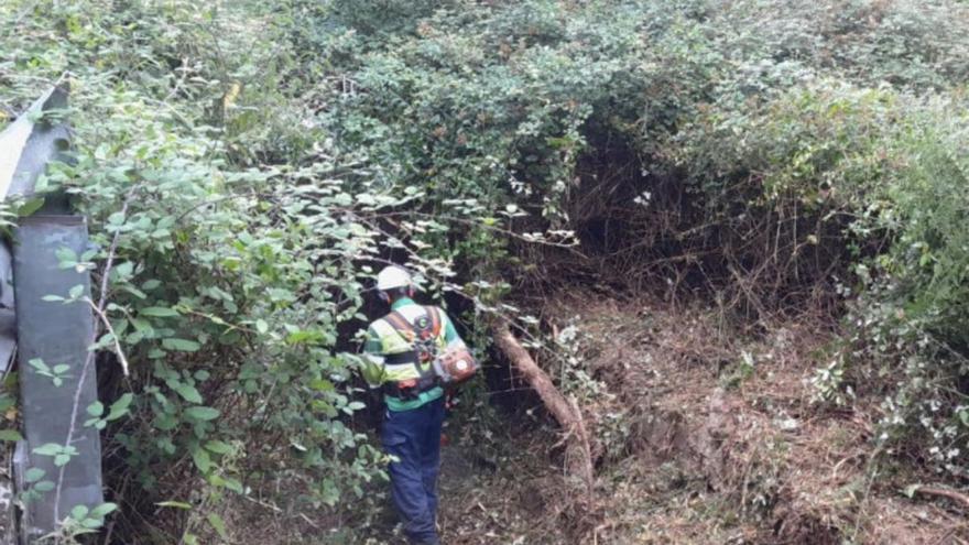 La Confederación Hidrográfica aborda trabajos de mejora en el río Gafo, en Las Caldas