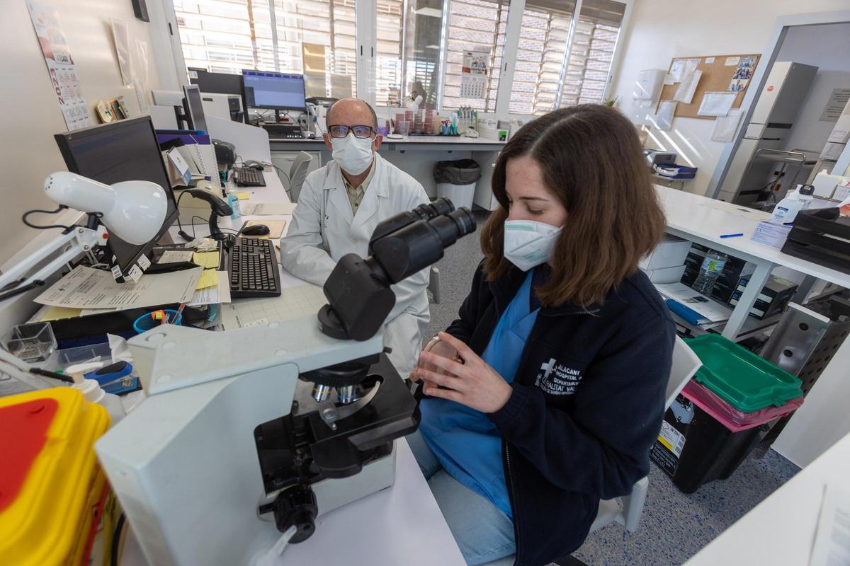 Investigación en virus y bacterias Investigación en virus y bacterias