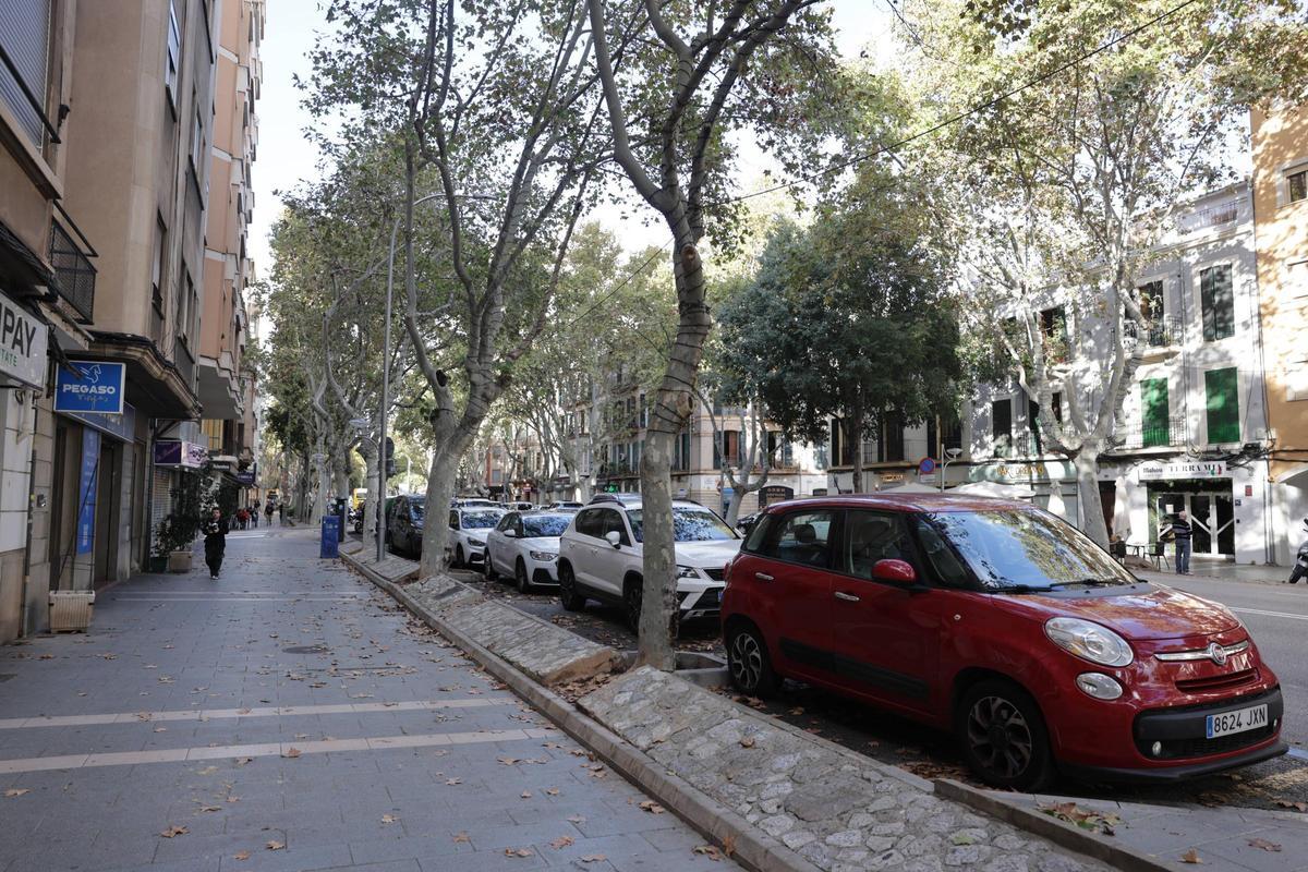 El nuevo carril bici de 31 de Desembre obligará a sacrificar varios aparcamientos.