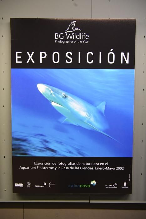 El trabajo gráfico hace un recorrido por el tiempo en el que se pueden ver temas como la sobrepesca o la contaminación por plástico en los océanos.