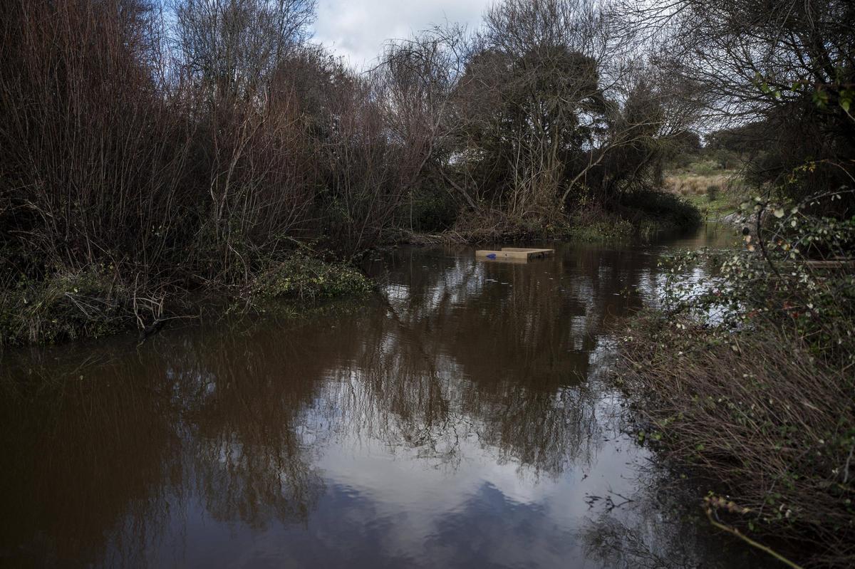 El Guadiloba asoma fuera de su pantano de Cáceres