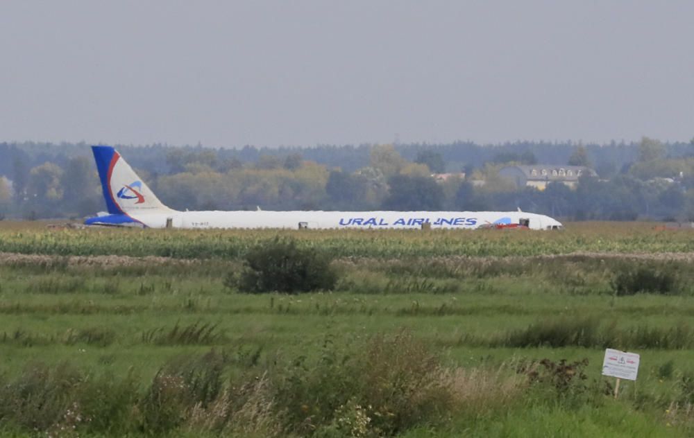 Un avió realitza un aterratge d'emergència en un camp de blat de moro prop de Moscou