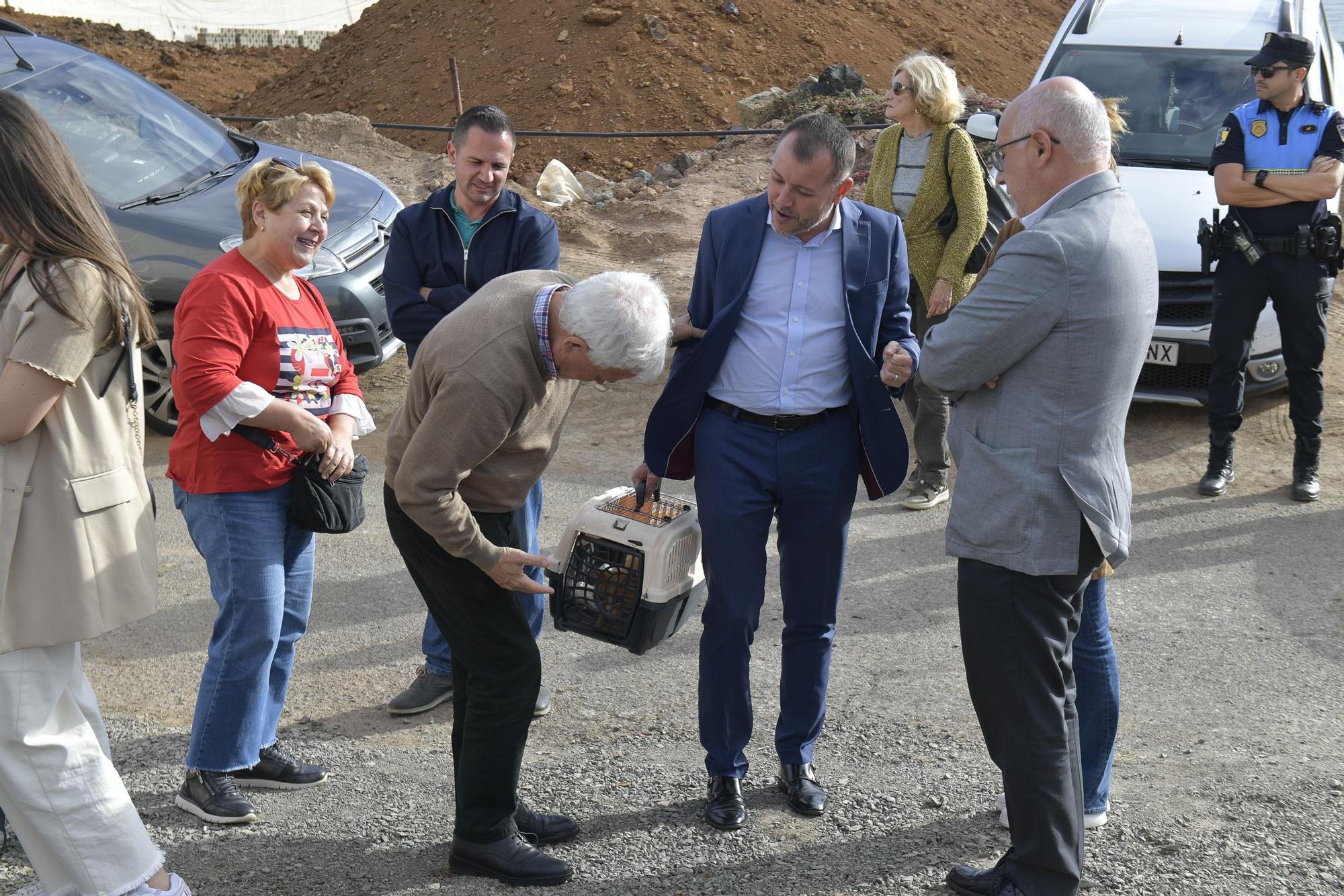 Gáldar tendrá en El Sobradillo un albergue para perros, gatos, ovejas y hasta caballos