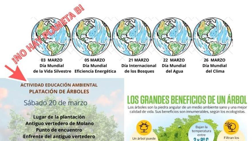 Plantación de árboles en defensa del medio ambiente en Arroyo