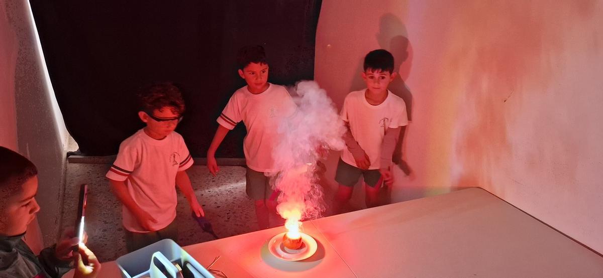 Mandarina y bengala en el CEIP César Manrique en Tahíche