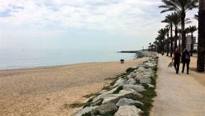 Associacions veïnals de Mataró demanen una ubicació alternativa per a la futura platja per a gossos