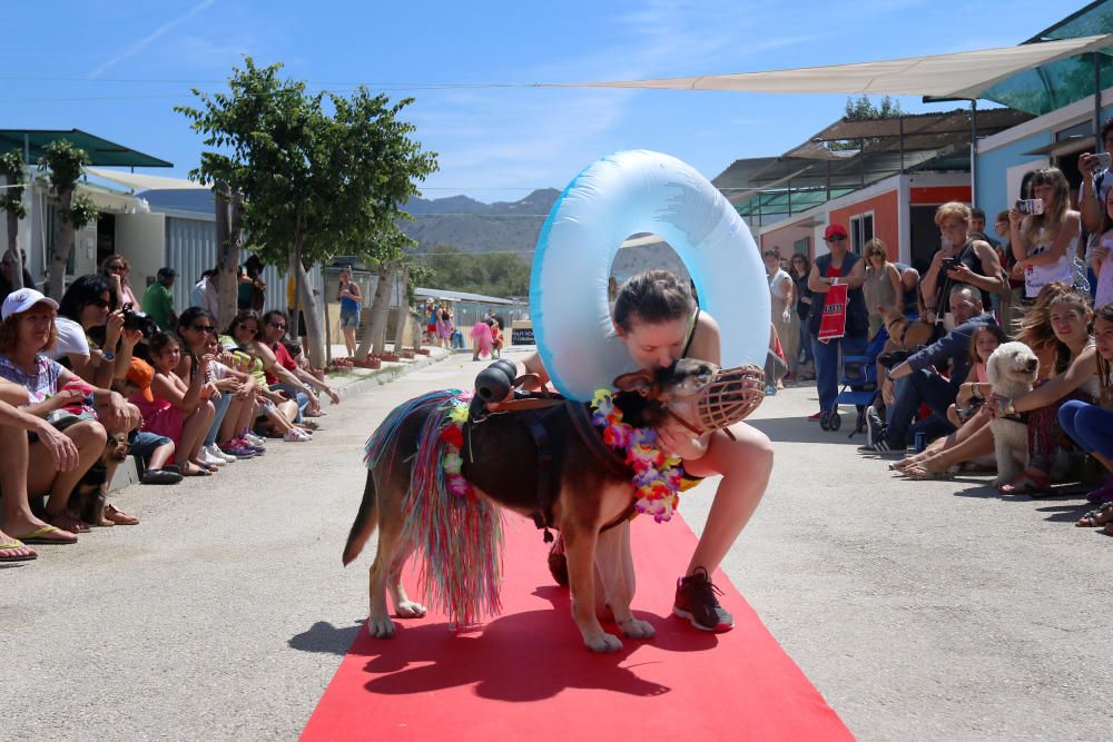 La Protectora celebra una jornada de puertas abiertas