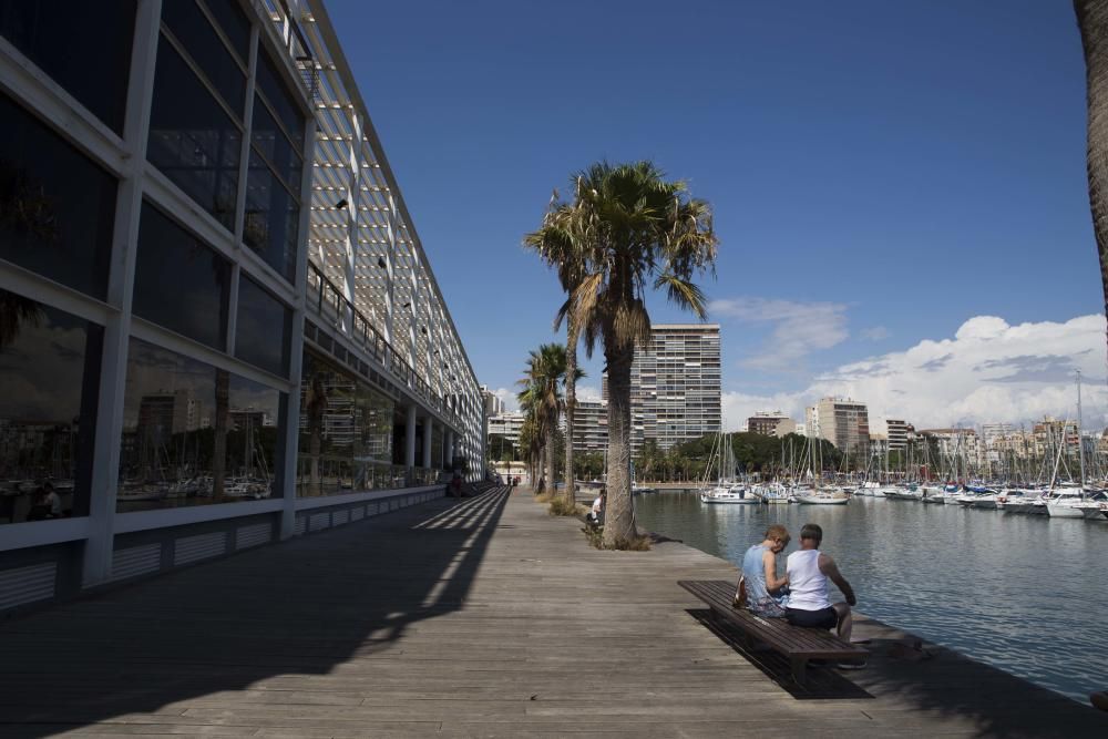 Las tres sedes del Distrito Digital de Alicante