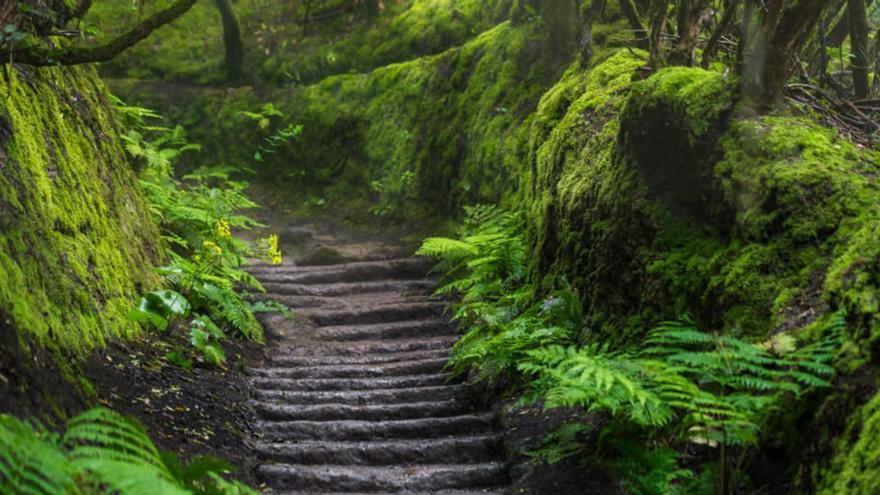 Yo estaba allí, en la Gomera