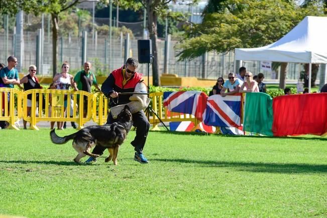 10/12/2016 MASPALOMAS. Feria de Mascotas Maspalomas 2016.Foto: SABRINA CEBALLOS