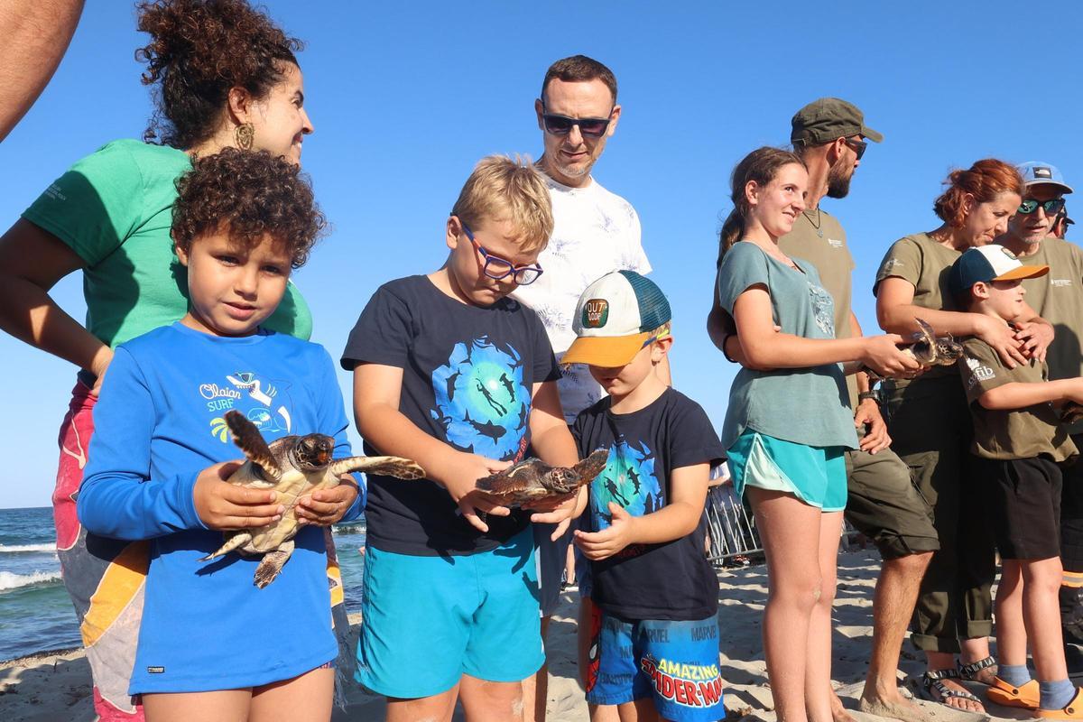 Las tortugas de Ibiza vuelven al mar tras un año Las tortugas de Ibiza vuelven al mar tras un año