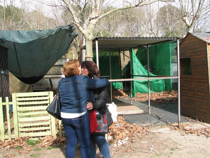 Incendio en el camping Garganta de Cuartos de Losar de la Vera (Cáceres)