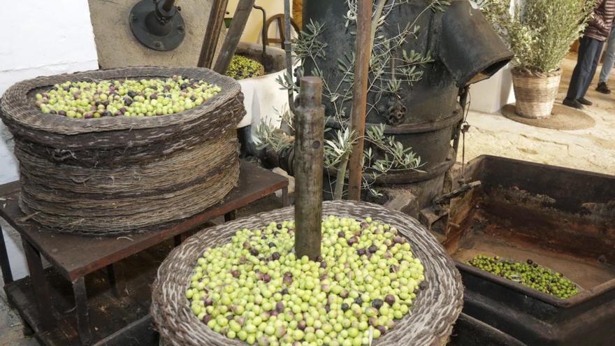 Spanisch-lernen-mit-der-MZ-So-blicken-Sie-durch-wenn-es-ums-Bezahlen-geht