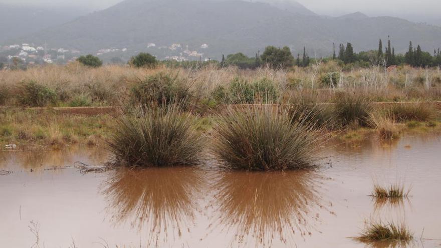 La zona húmeda del Cuadro de Santiago, en Benicàssim, sigue amenazada por los intentos de desecación