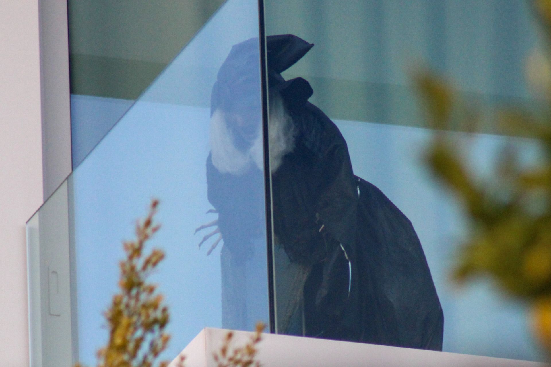 La bruja que colocó Shakira apuntando a la casa de sus exsuegros