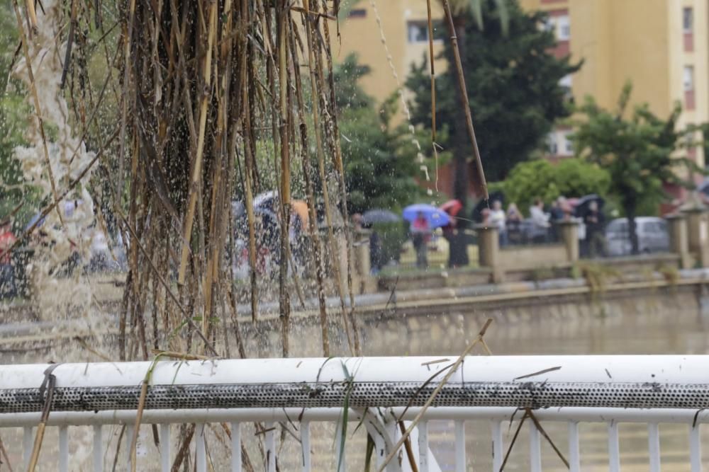 El Segura, en Murcia, a punto de desbordarse