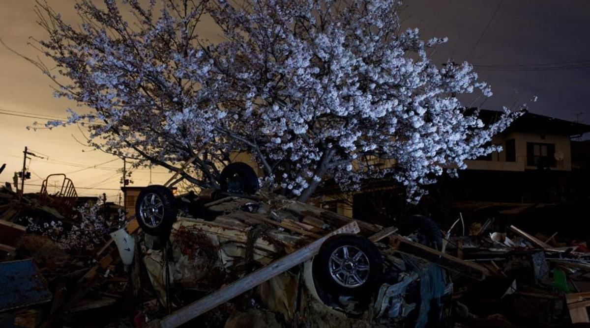 Yasuyoshi Chiba World Press Photo 2012