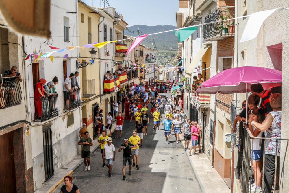 "Entrà de les Vaques" de Tibi