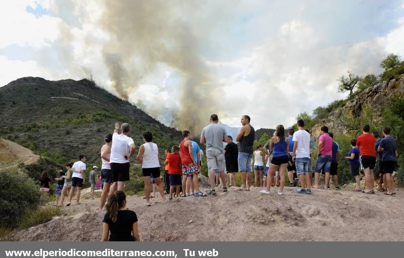 GALERIA DE IMÁGENES  - INCENDIO FORESTAL EN LA VALL