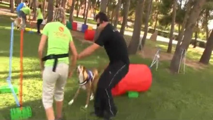 Terapias con perros para discapacitados