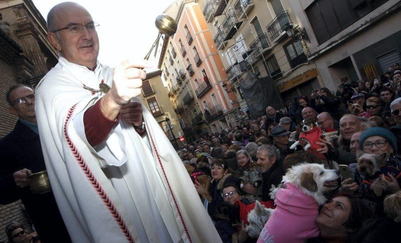 Celebración de San Antón, bendición de los animales