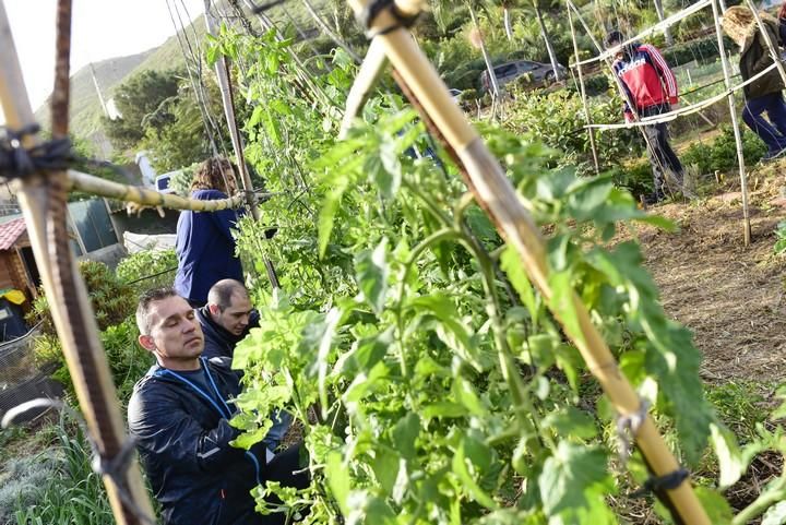 Visita escolar a la Granja Agricola del Cabildo