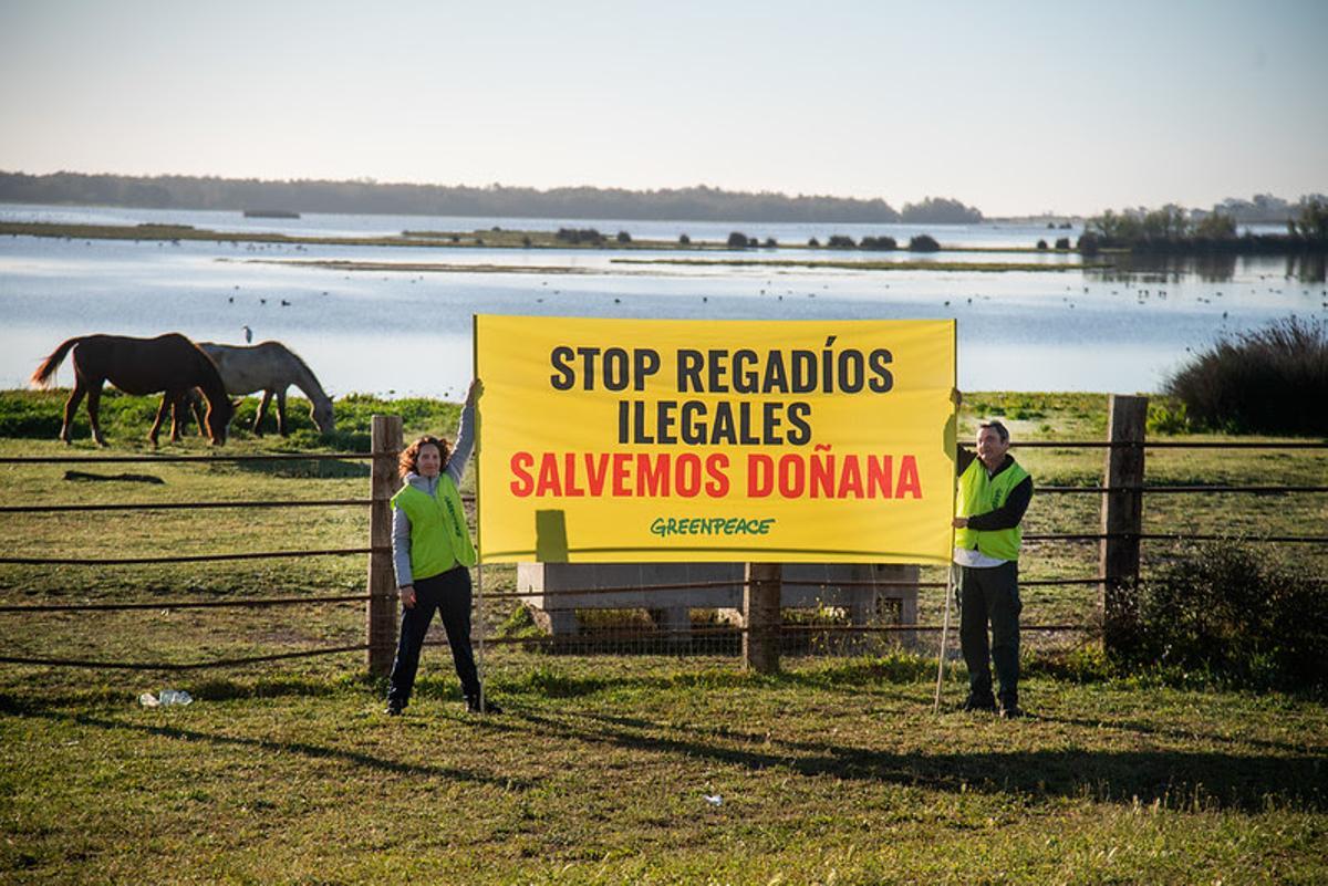 Acción de Greenpeace contra los regadíos ilegales