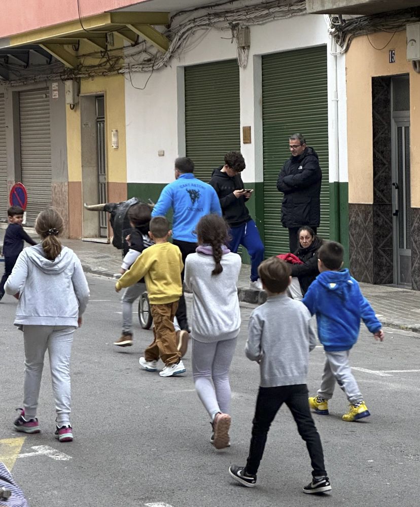 Sant Antoni en el Camp de Morvedre
