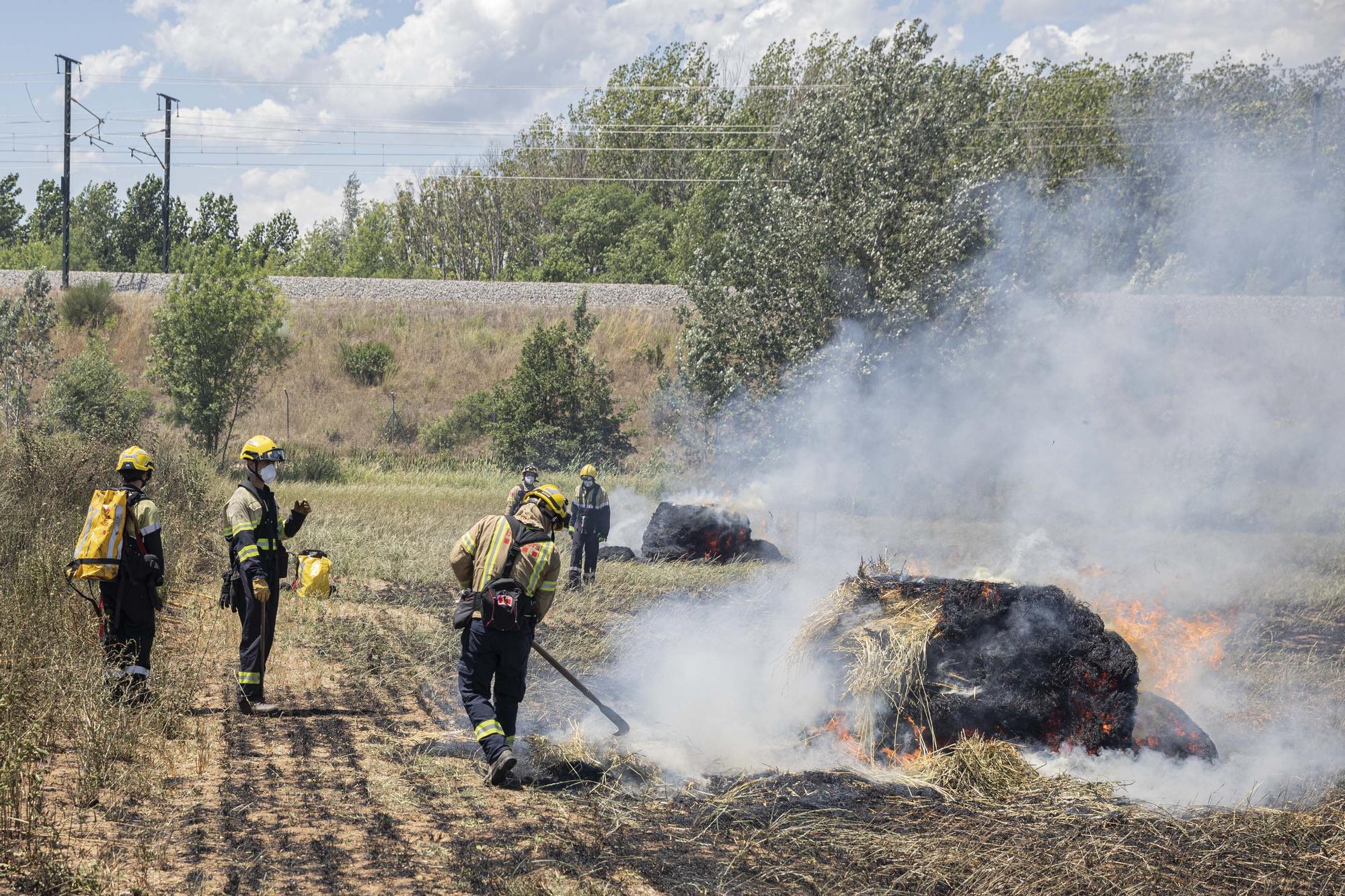 Incendi forestal a Sils, en fotos