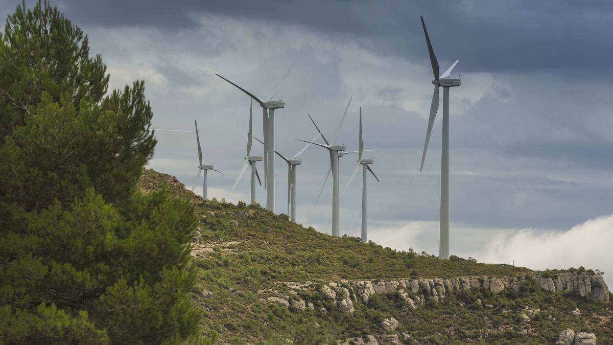 Molinos de un parque eólico donde se genera electricidad a partir de la energía del viento.